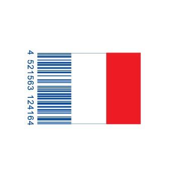 full_franceflag1-e1293733232614.jpg