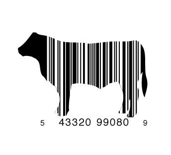 full_cow1-e1293733607377.jpg