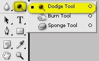 step5L_dodge