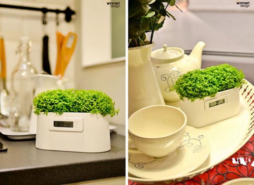 植物,电子钟,创意产品,设计,微电站,概念产品
