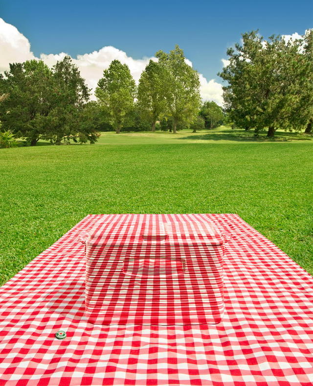 PICNIC-CAMOUFLAGE.jpg