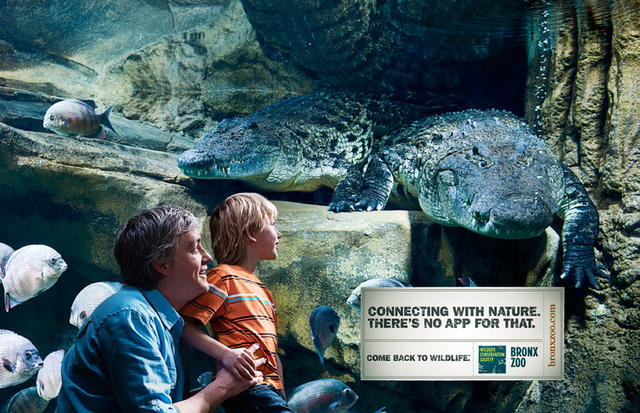 BRONX_ZOO_CROCODILE.jpg