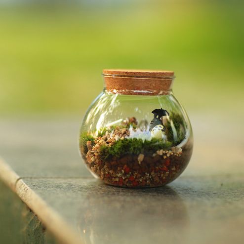 Ecoecho,创意,绿植,苔藓瓶,绿植,礼物